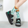 Print art painting animal porcupine, butterfly cat, fashion, colorful bee, man and woman skateboard, tube socks
